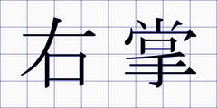 右掌