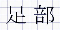 足部
