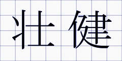 壮健