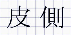 皮側