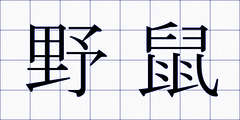 野鼠
