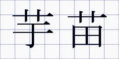芋苗