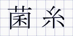 菌糸