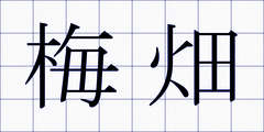 梅畑