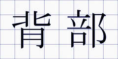 背部