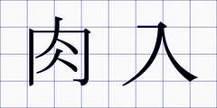 肉入