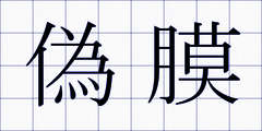 偽膜