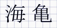 海亀