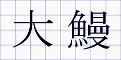 大鰻