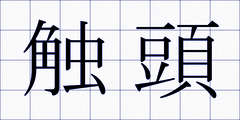 触頭