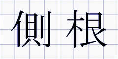 側根
