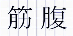 筋腹
