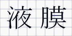 液膜