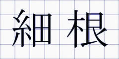 細根