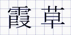 霞草