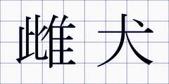 雌犬