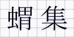 蝟集