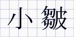 小皺