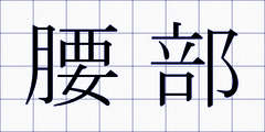 腰部