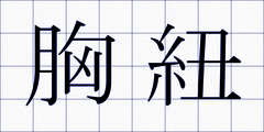 胸紐