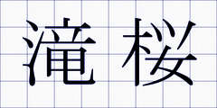 滝桜
