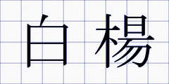白楊