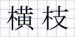 横枝