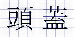 頭蓋