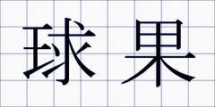 球果