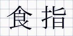 食指