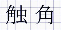 触角