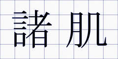諸肌