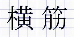 横筋