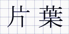 片葉