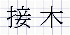 接木