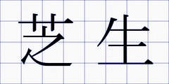 芝生