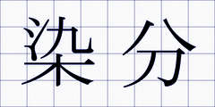 染分