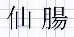仙腸
