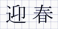 迎春