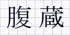 腹蔵