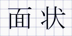 面状