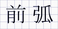前弧
