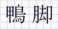 鴨脚
