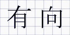 有向