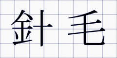 針毛