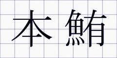 本鮪