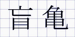 盲亀