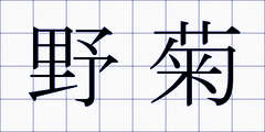 野菊