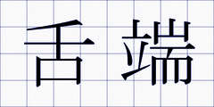 舌端