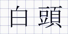 白頭